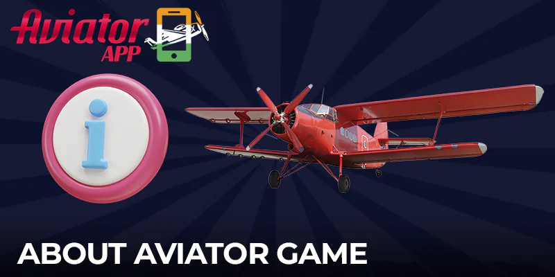 The basics of the Aviator betting game